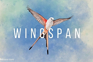 「展翅翱翔-Wingspan: The Board Game」-只有本体,完整版为本站另一篇文章