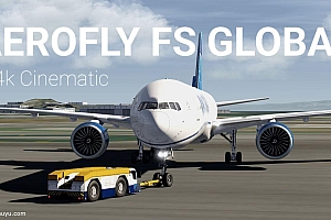 「Aerofly FS Global」-解锁所有飞机dlc,不包含全球风光dlc(需要梯子,不会勿拍)