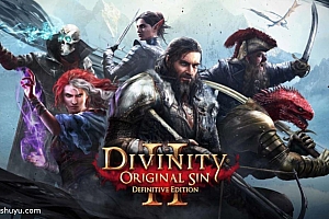 「神界原罪2-Divinity – Original Sin 2」-iPad游戏