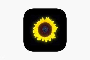 「去年夏天迭代-Last Summer Iteration」